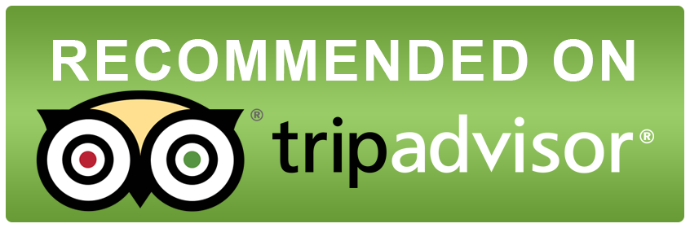 Camel Transfers Tripadvisor reviews